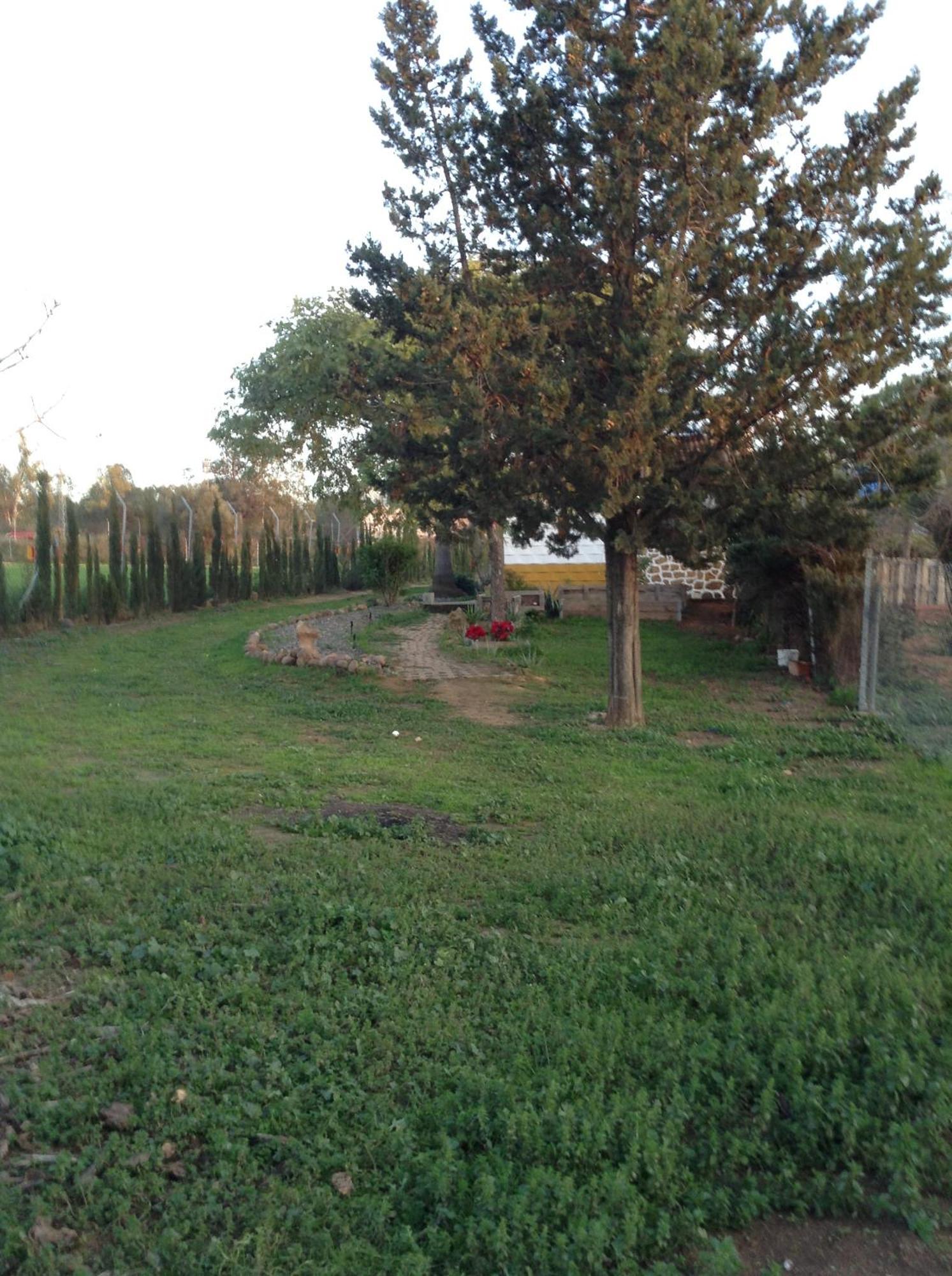 Huerta El Genoves Villa Carmona  Bagian luar foto