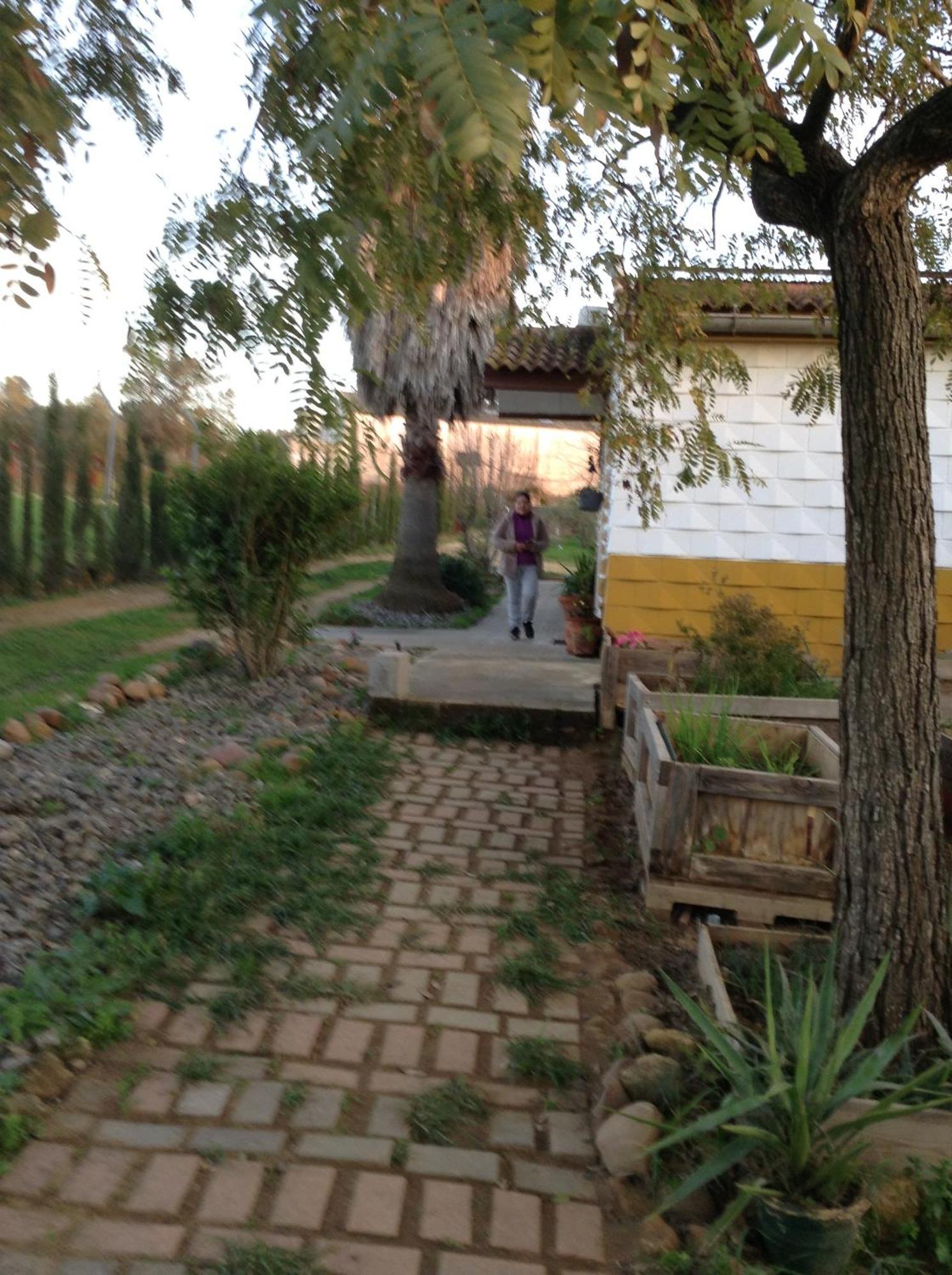 Huerta El Genoves Villa Carmona  Bagian luar foto